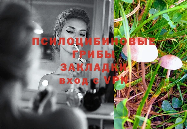 твердый Володарск