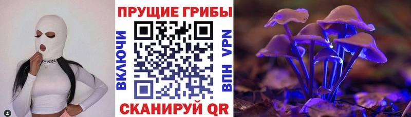 Псилоцибиновые грибы мухоморы  Электрогорск 